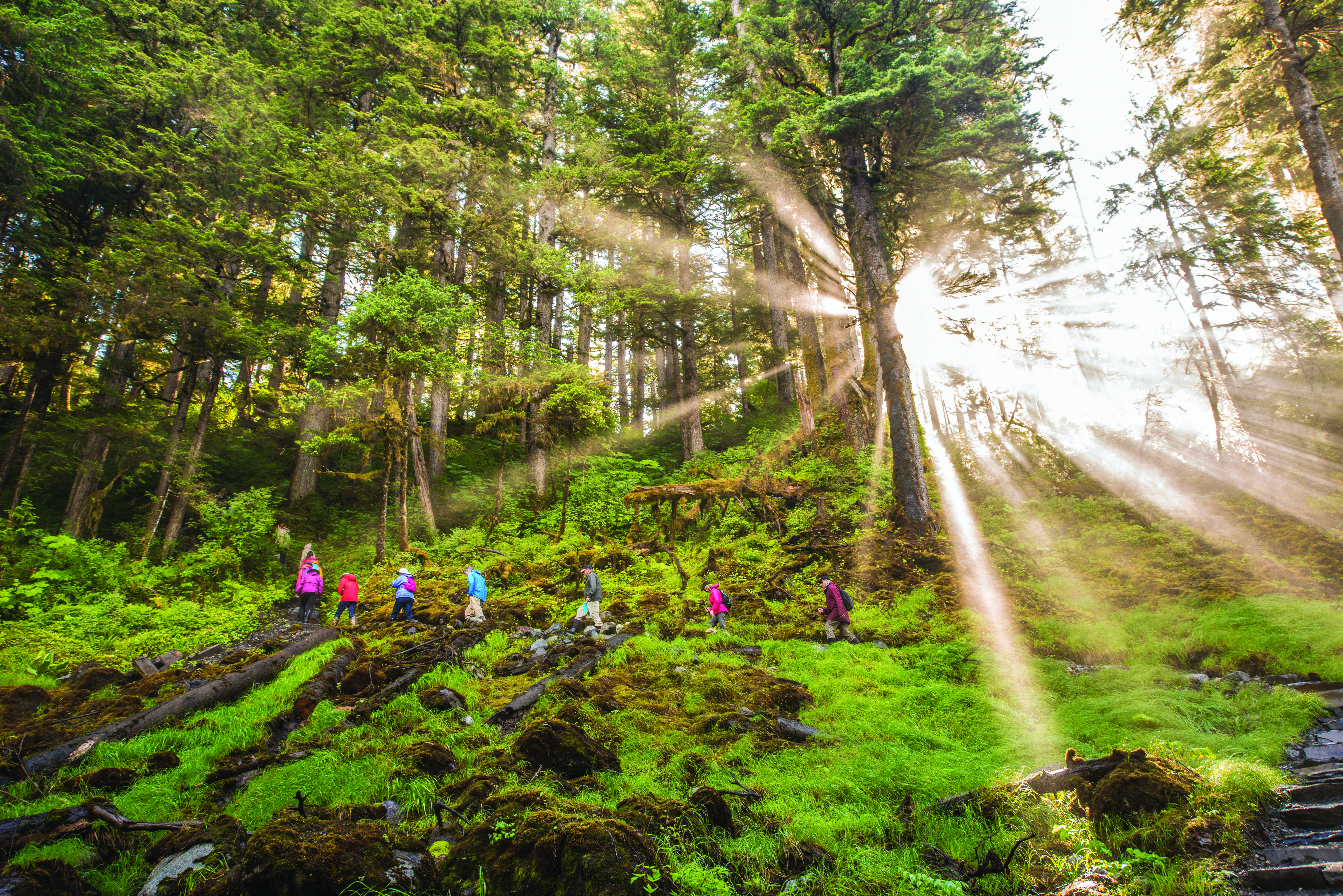 Guests hiking Cascade Creek Trail, Thomas Bay, Tongass National Forest, Southeast Alaska, USA.