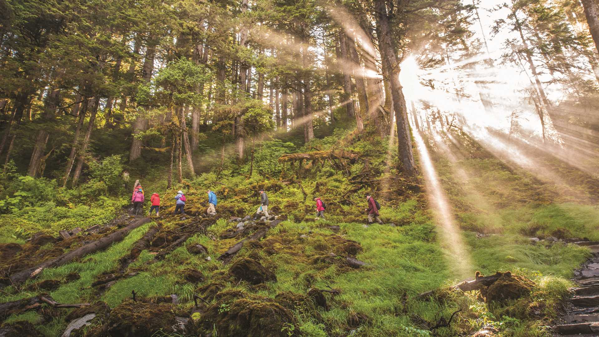 Guests hiking Cascade Creek Trail, Thomas Bay, Tongass National Forest, Southeast Alaska, USA.