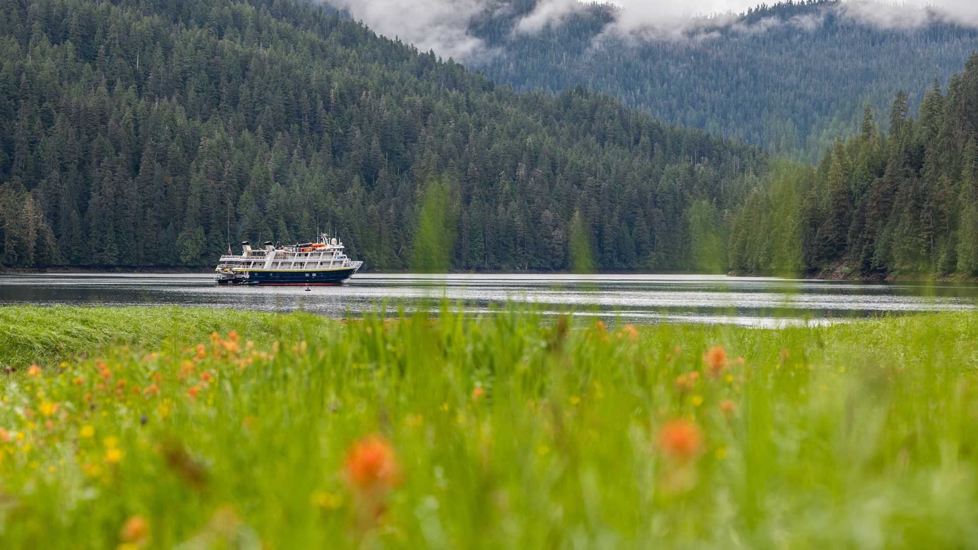 The National Geographic Sea Lion in Alaskan waters.