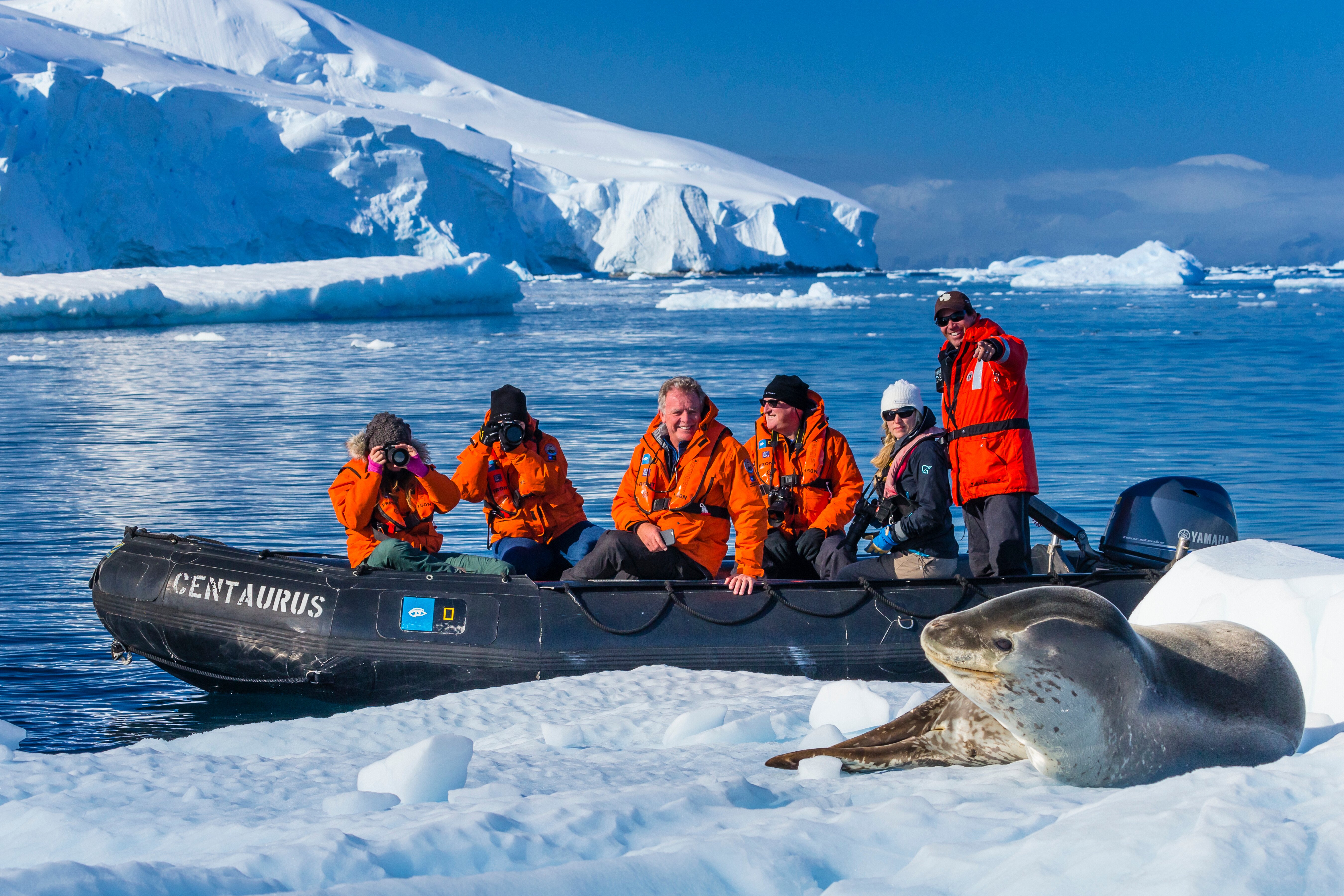 Guests photograph a leopard seal lounging on an ice floe.
