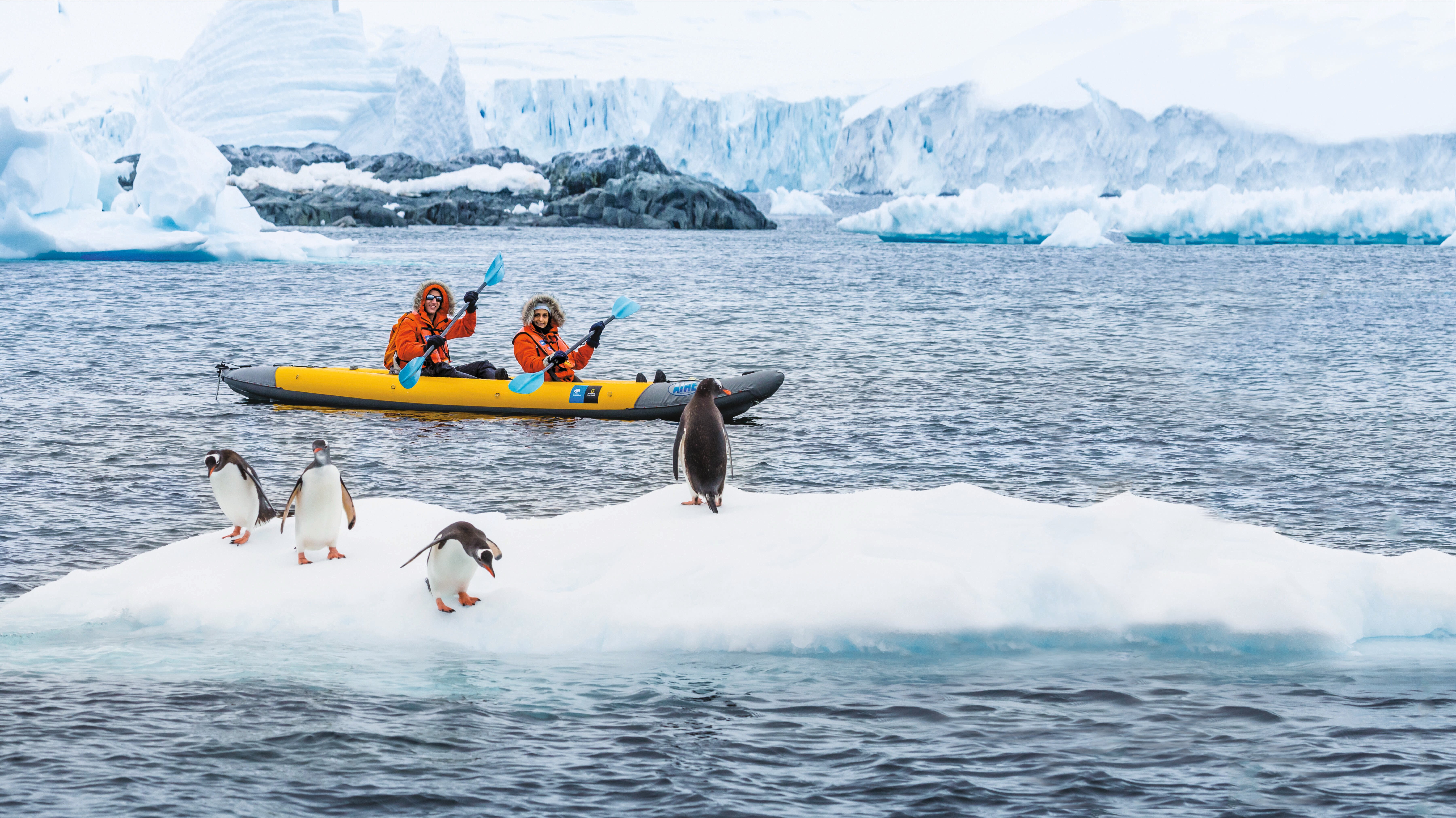 Guests kayak past Gentoo penguins on an ice floe.