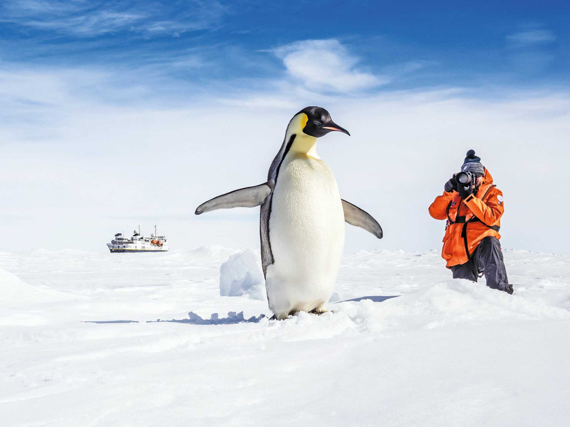 A photographer photographs an emperor penguin standing on a snowy landscape with the National Geographic Explorer in the distance.