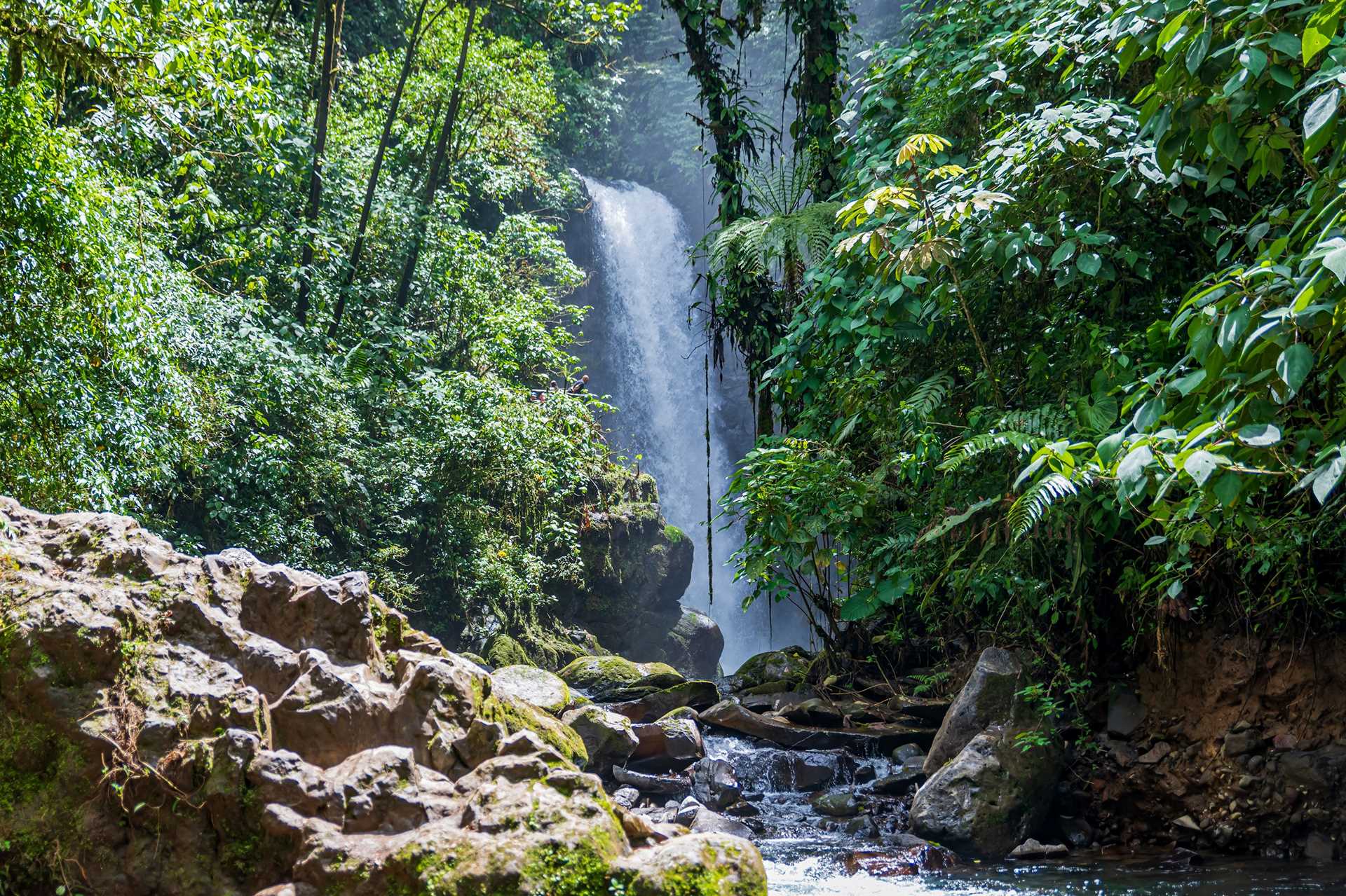 La Paz Waterfall, Alajuela, Costa Rica