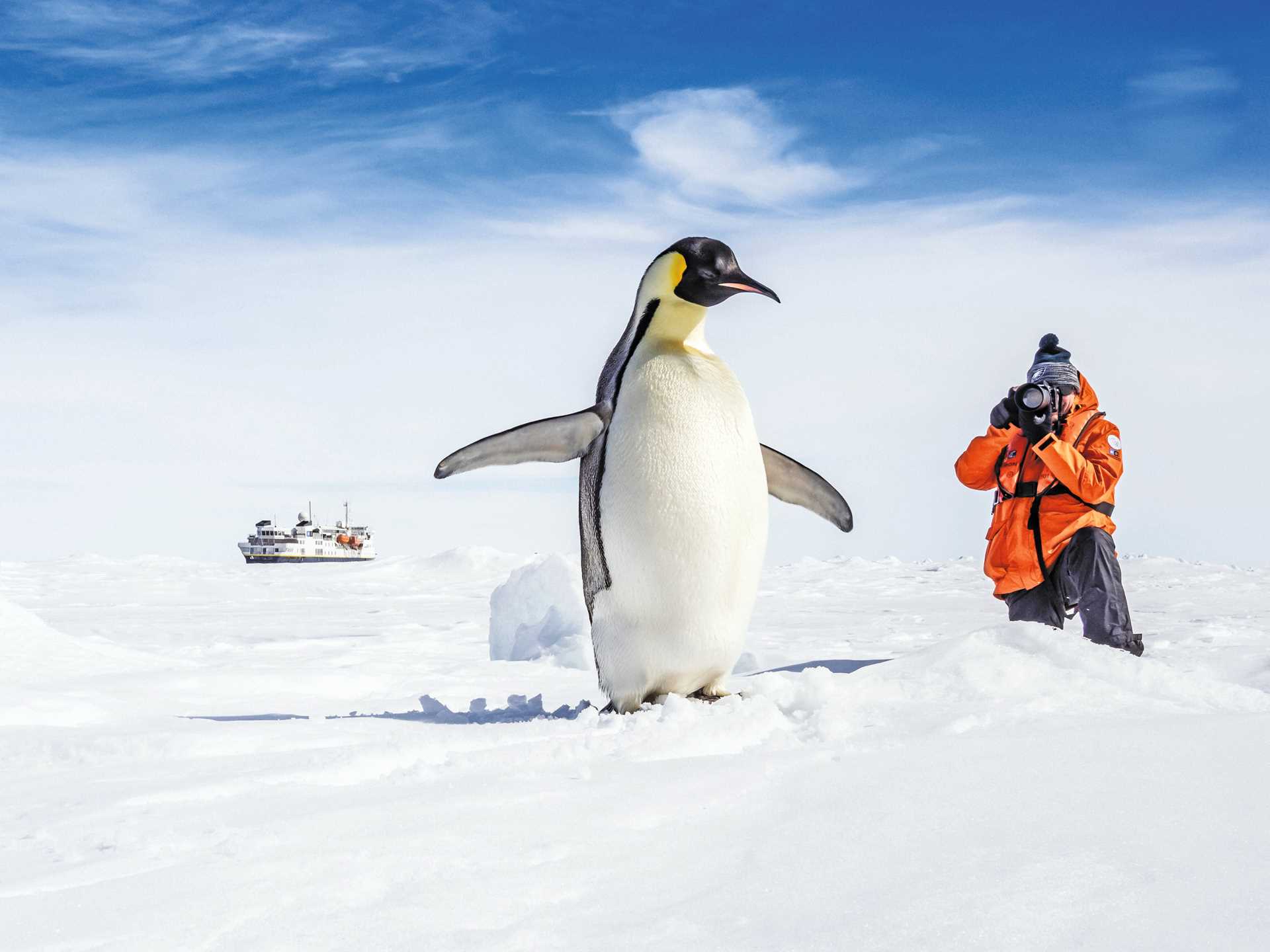 Antarctica AA855.jpg