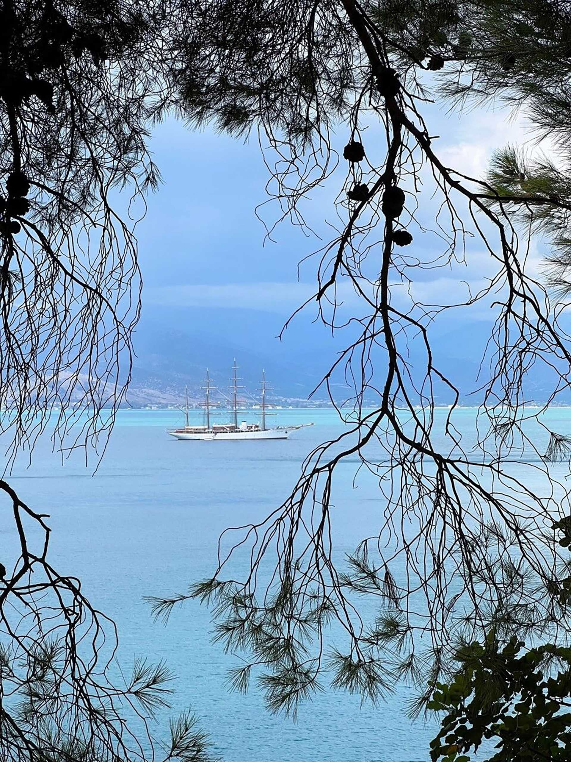 Sea Cloud framed by tree branches