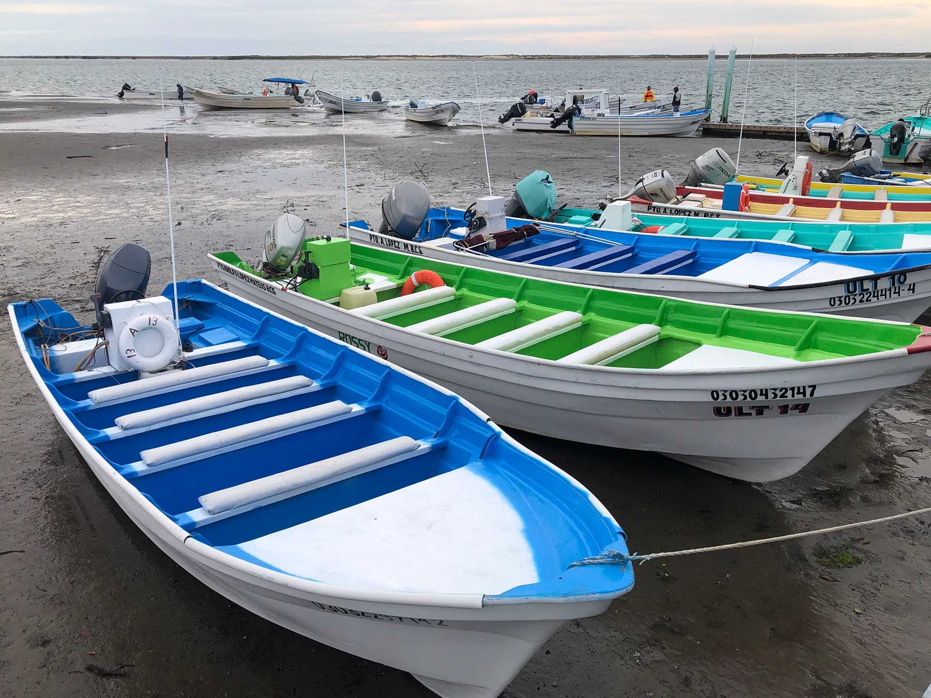 colorful boats on a beach