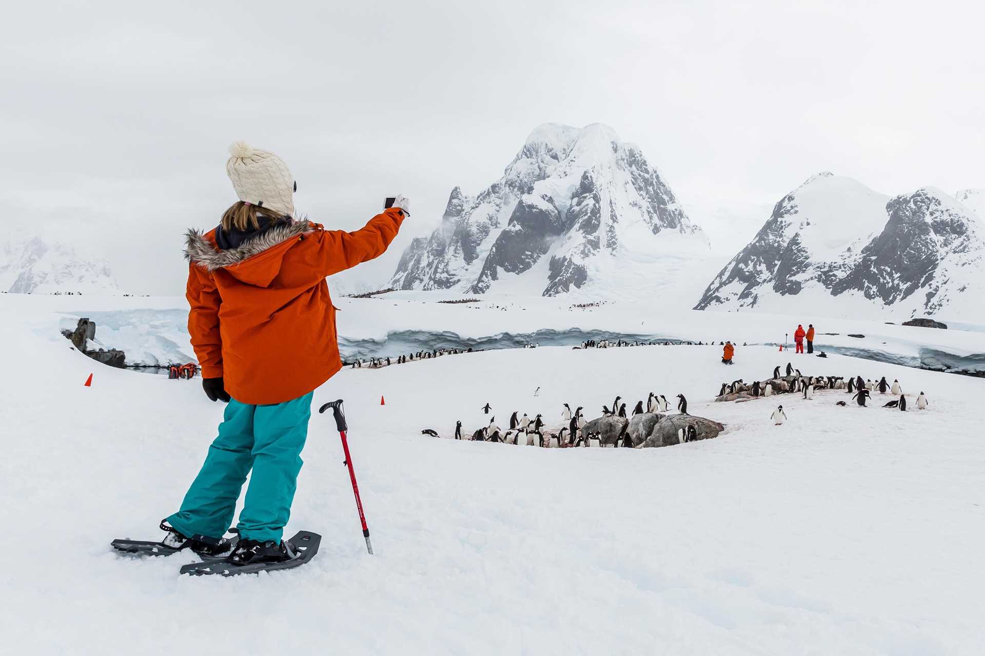 A young explorer photographs a colony of feeding gentoo penguins while snowshoeing.