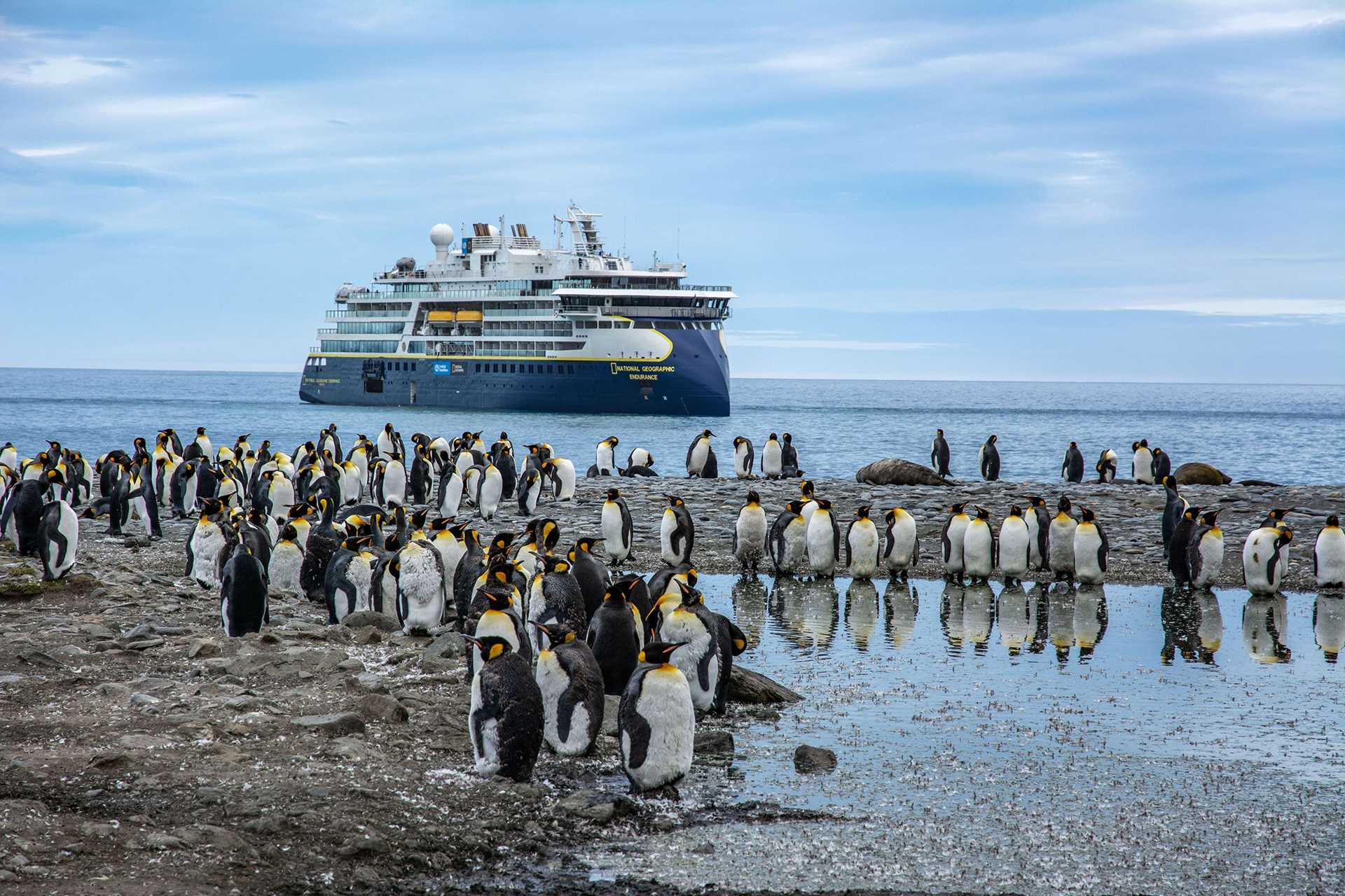 national geographic endurance with many penguins in the foreground