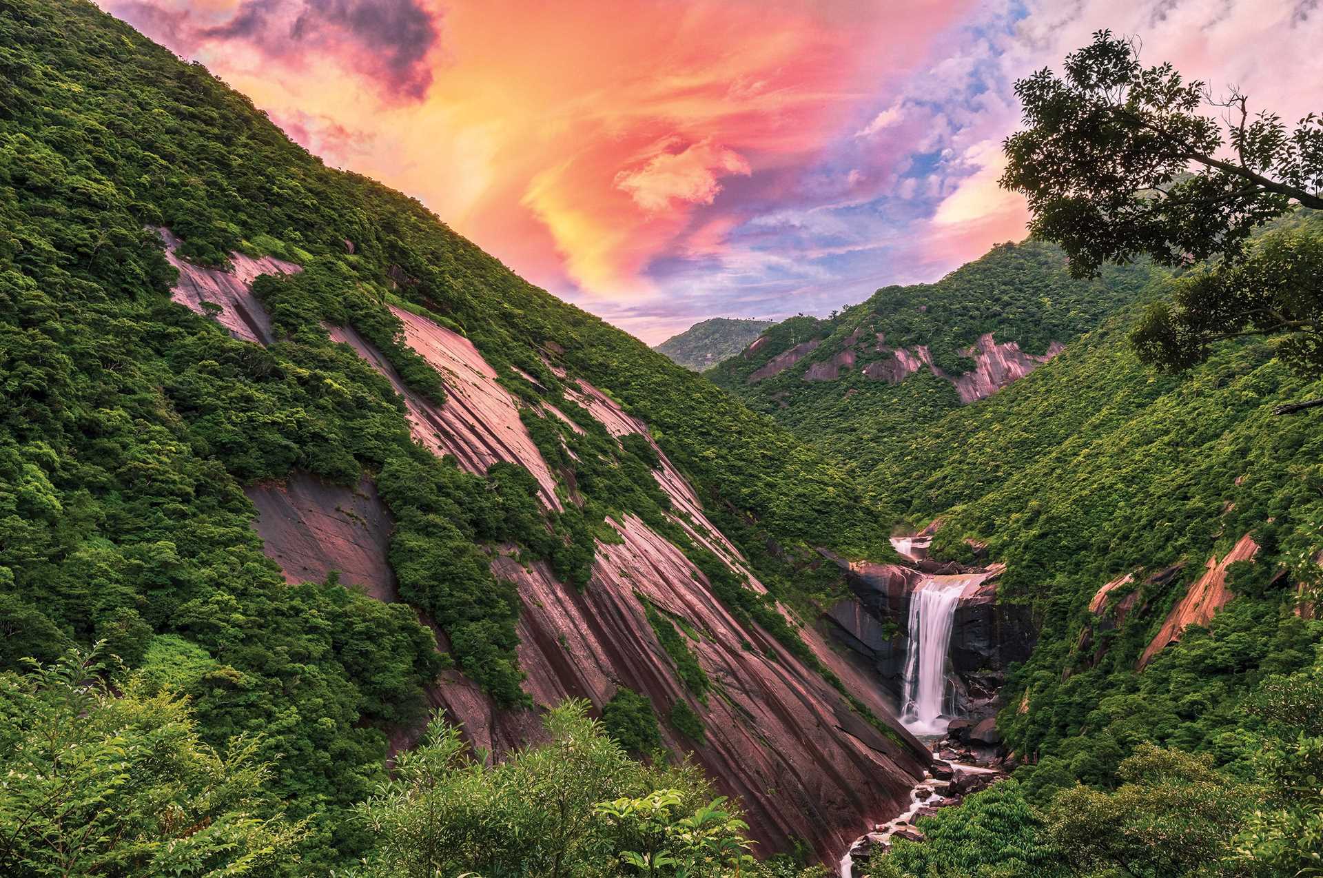 Yakushima-Island-shutterstock_706123837.jpg