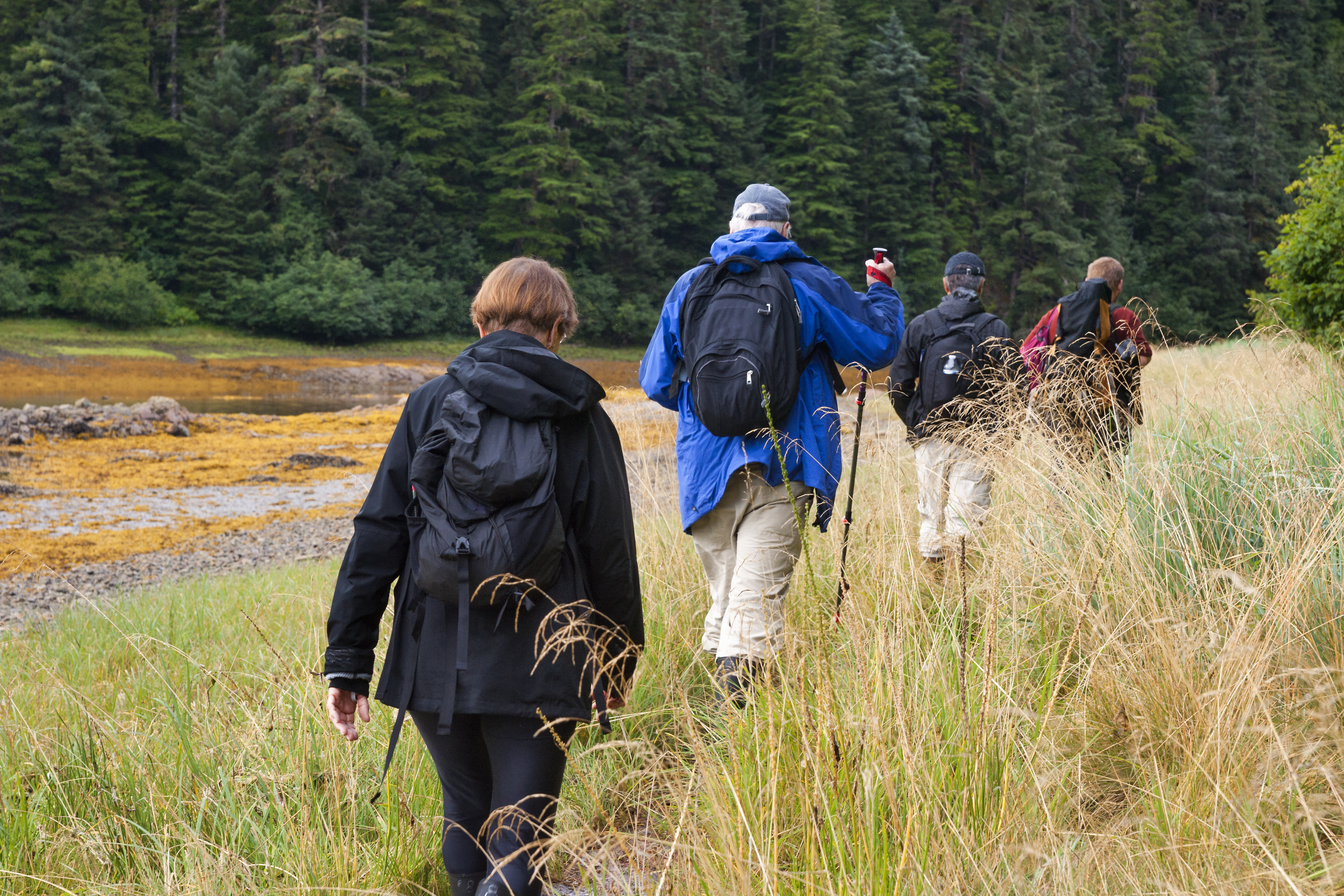 Hiking adventure in Alaska