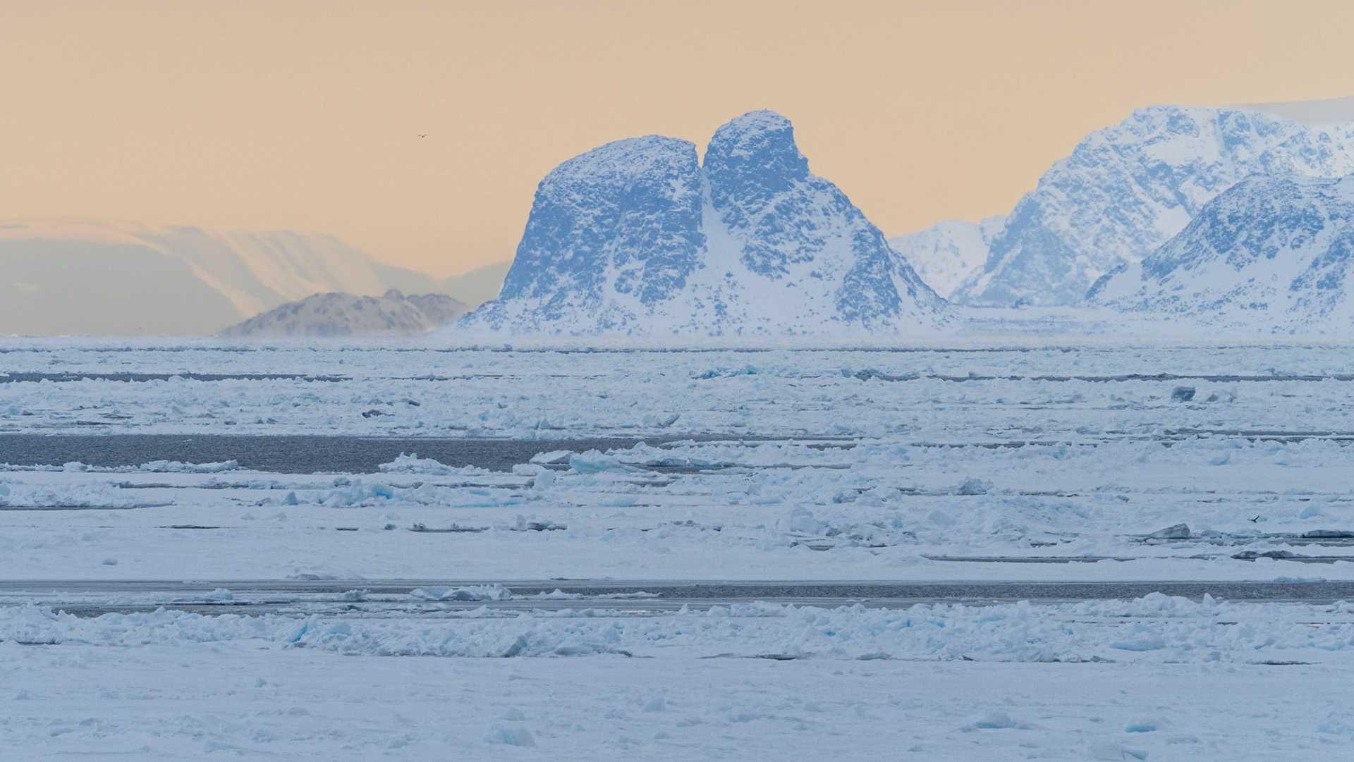 a pink sunset over arctic ice