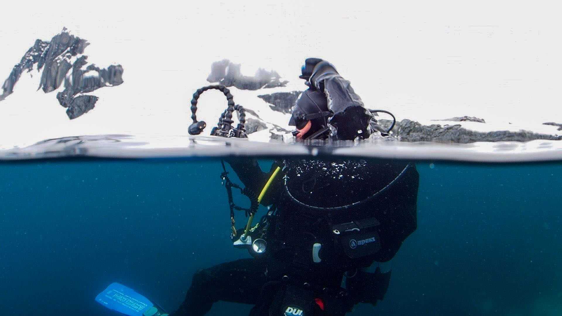 diver preparing to go under water
