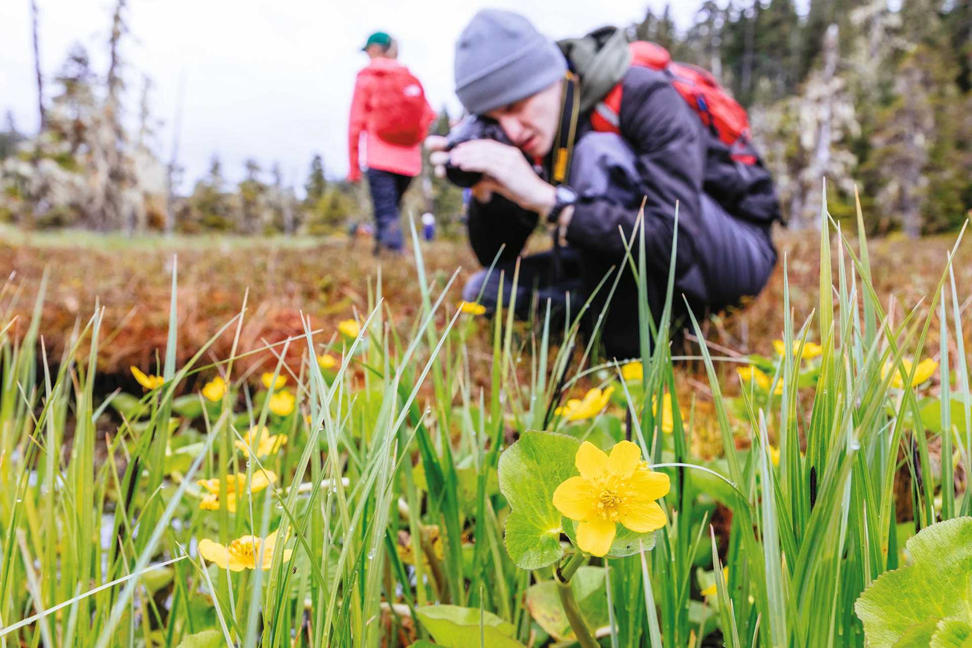 Large RGB-LEX-US Alaska AK652.jpg