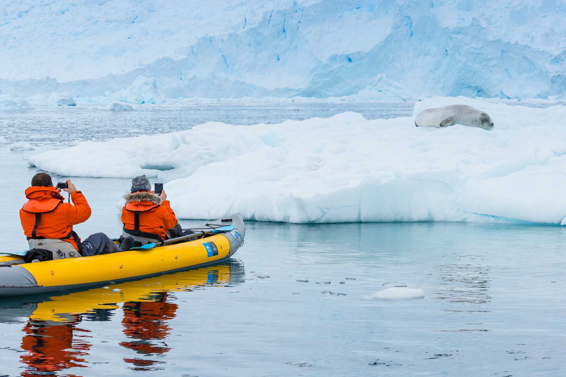 Two guests in a kayak photograph a seal on a ice floe with their smartphones in Neko Harbor.