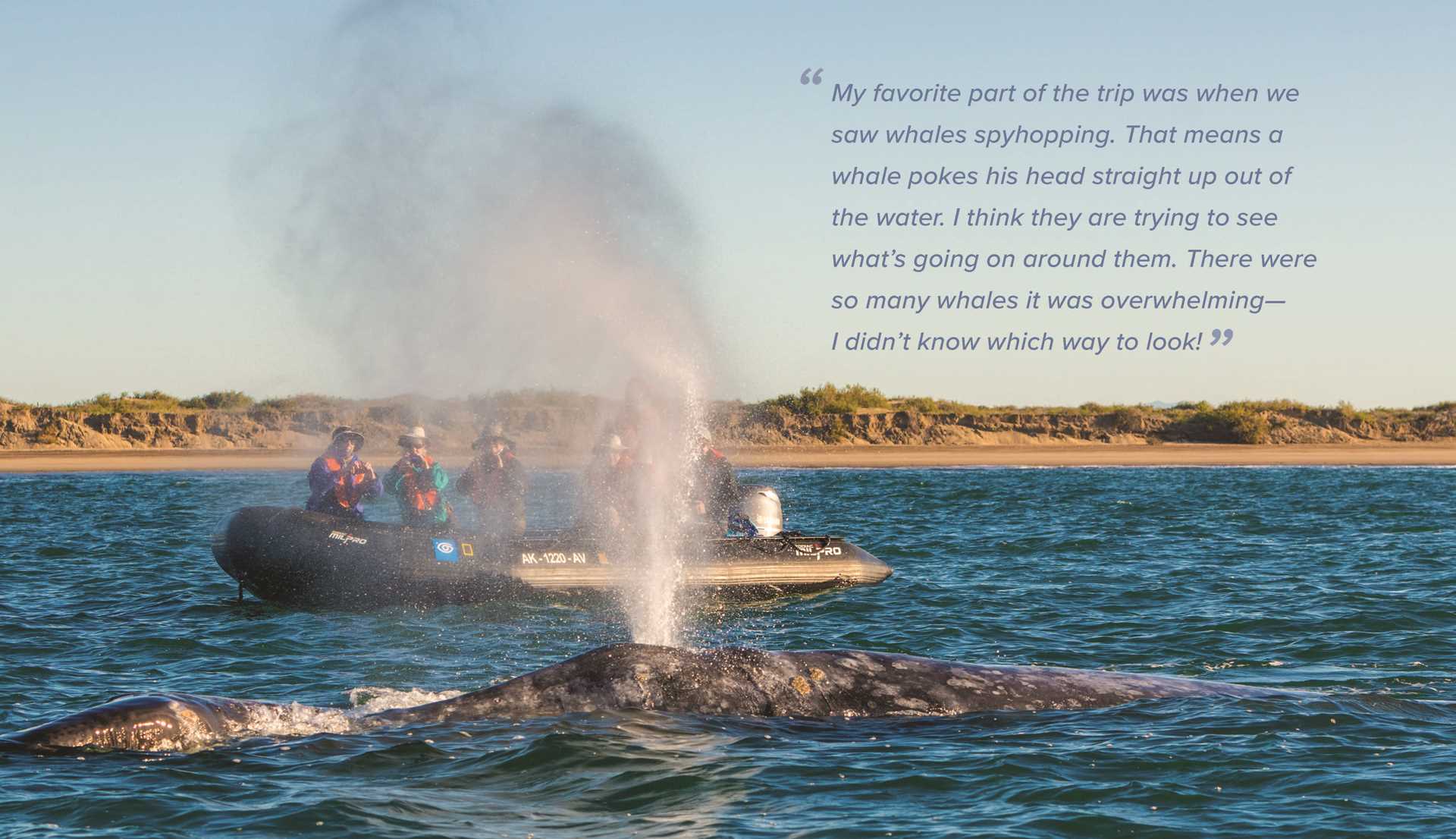Baja2020_Global Explorer3_Page_4.jpg