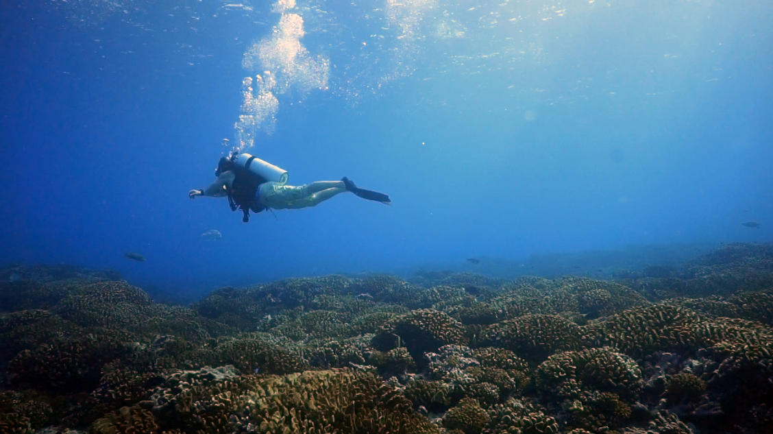 Diving French Polynesia Lothar HR.png