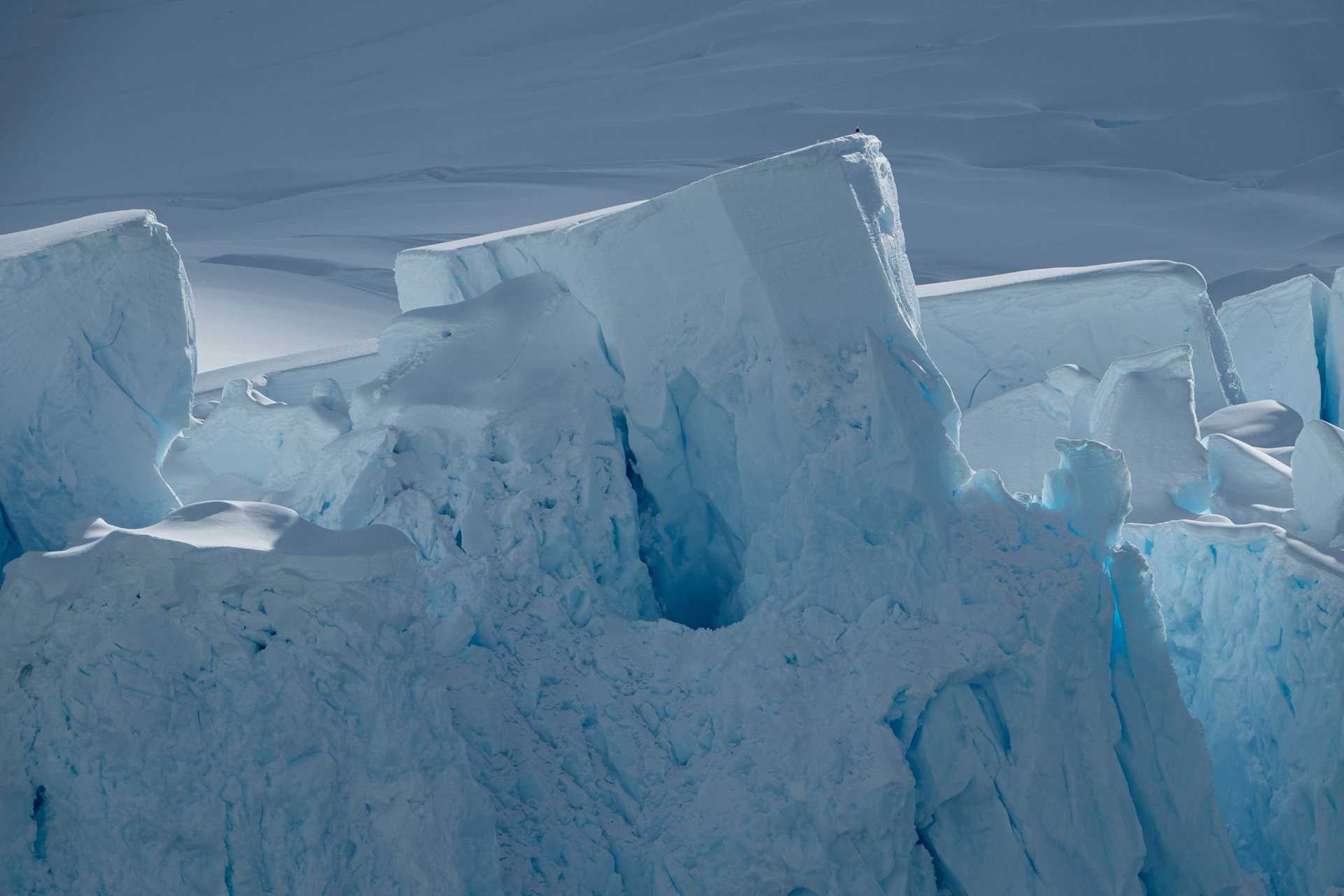 a large glacier in Antarctica