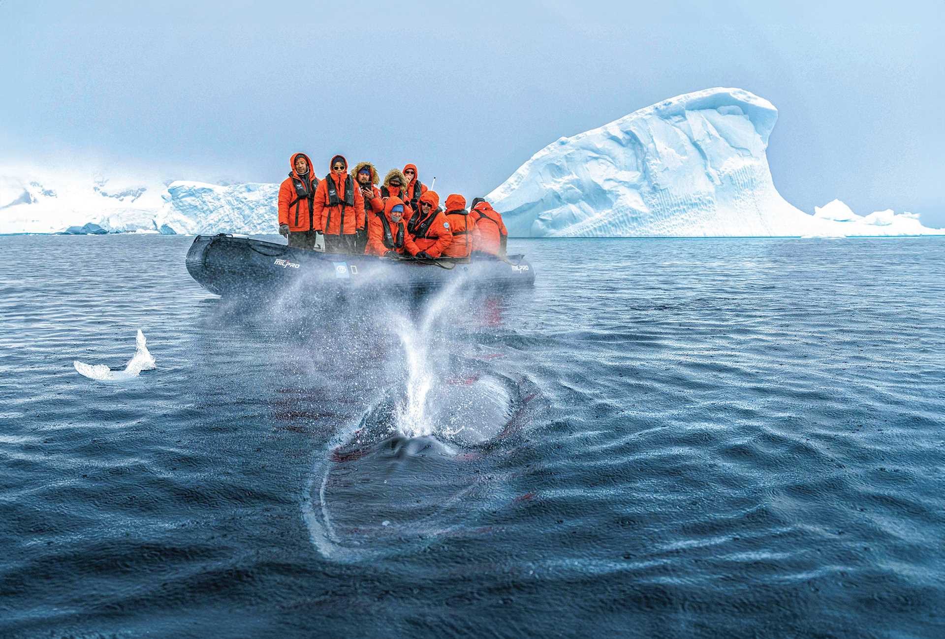 06_Large RGB-LEX-Antarctica Neko Harbor NK5.jpg