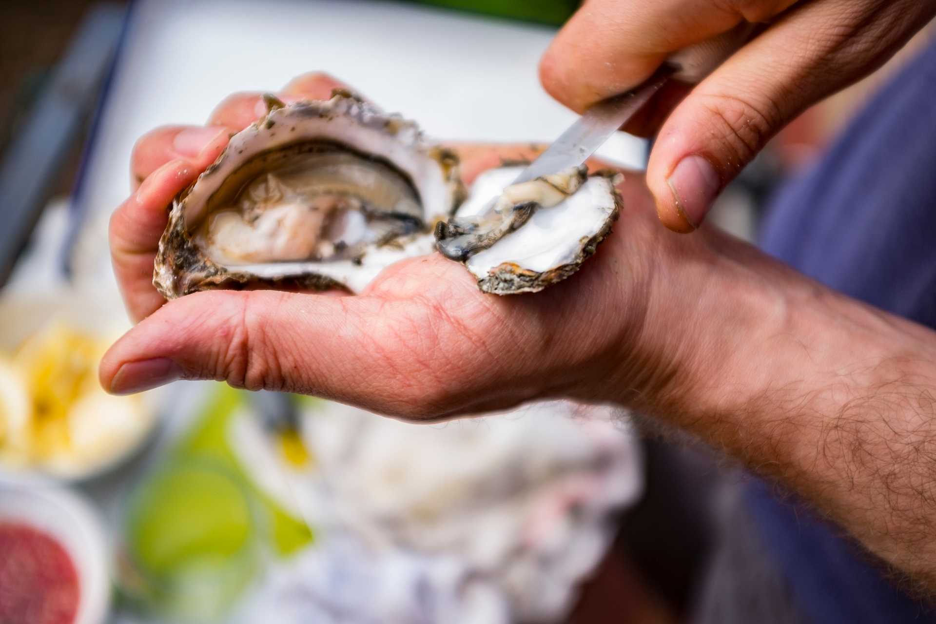 A man shucks an oyster.